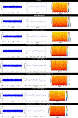 Camphor alters occipital electrocorticographic patterns during sleep deprivation in Wistar rats